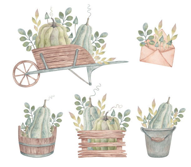 收集有南瓜、蘑菇和树枝的木制物品。水彩插图。感恩节的秋季植物图片。手绘孤立的艺术。蔬菜在车，桶和箱图片下载