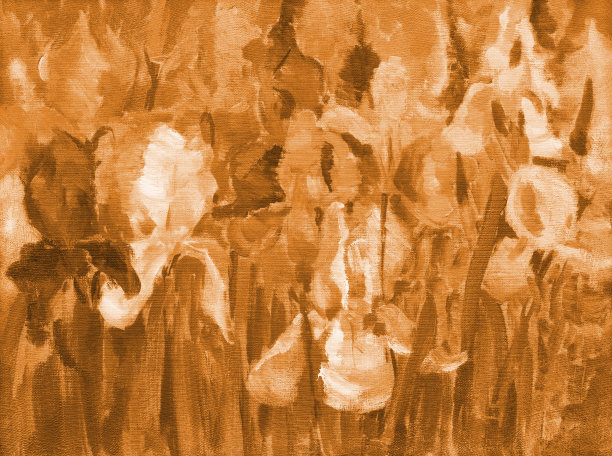 插图油画在深褐色的风景花鸢尾盛开在花坛上图片下载