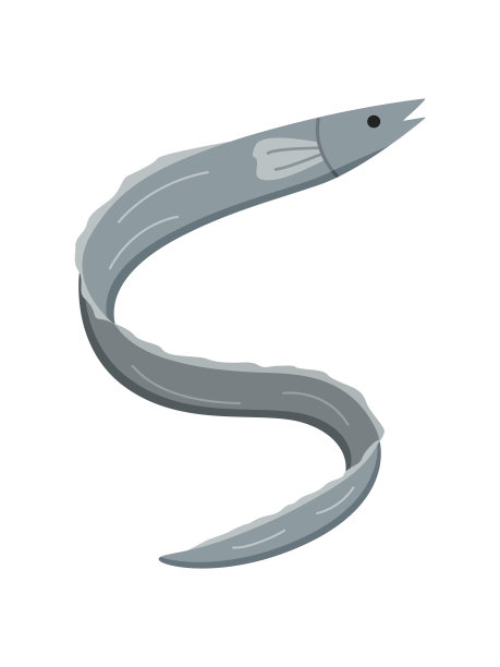 鳗鱼涂鸦图标。矢量插图鱼的河流和海洋生物。孤立于白色，美味海鲜。图片下载