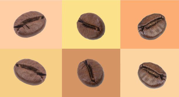 咖啡色、米色、黄色背景下的咖啡豆。简单的平面设计。横幅,拼贴。图片下载