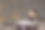正义的天平，律师事务所图书馆法律书上的木槌。法律教育理念。图片下载