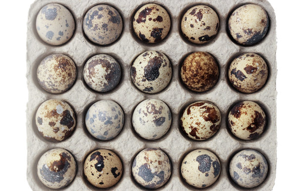 鹌鹑蛋图片下载