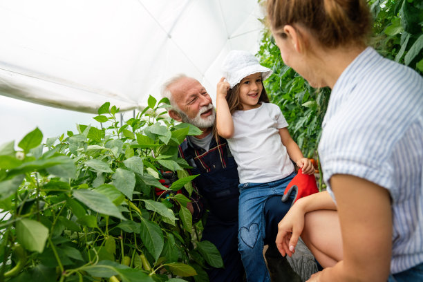 祖父与孙子和家人在家庭农场种植有机新鲜蔬菜图片下载