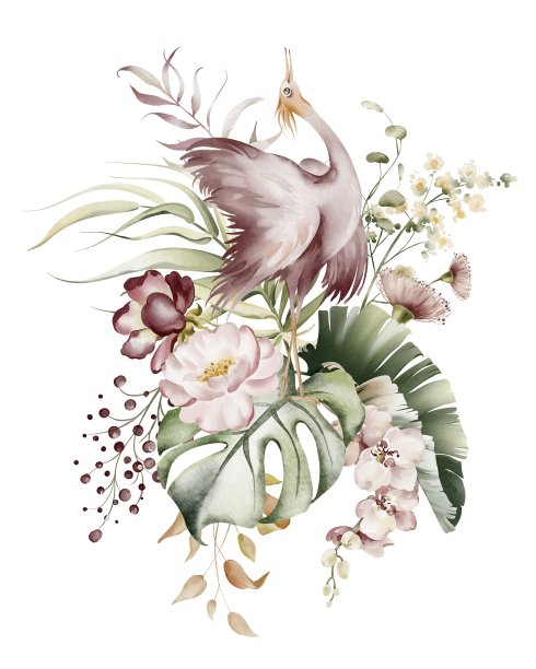 粉色朱鹮水彩画。图片下载