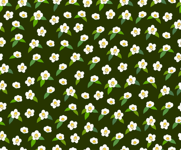 白色茶花和叶子的图案。图片下载