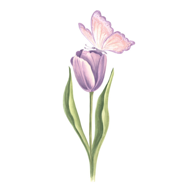 郁金香紫色与蝴蝶。水彩花园花。孤立的手绘插画春夏花开。草甸植物和昆虫。植物绘图模板卡片，印刷，包装，纺织。图片下载