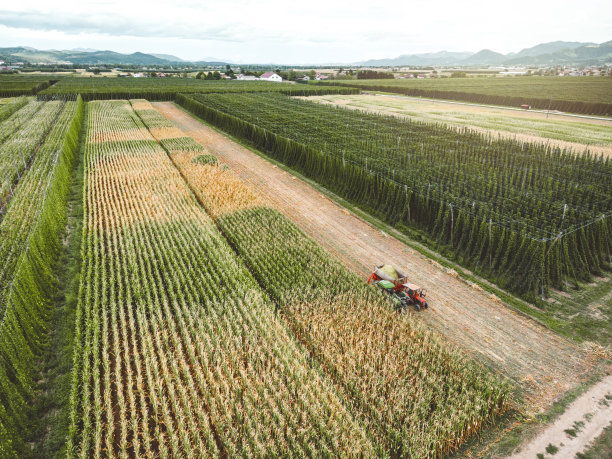 农业用地航拍照片：拖拉机在玉米地收割作物图片下载