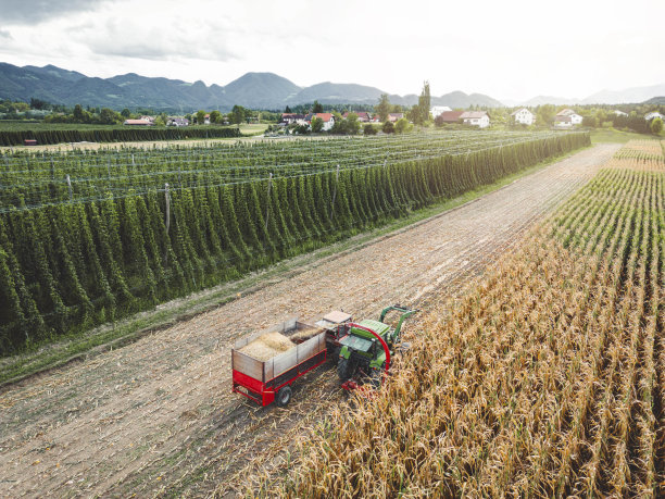 乡村玉米地里拖拉机收割庄稼的航拍照片图片下载