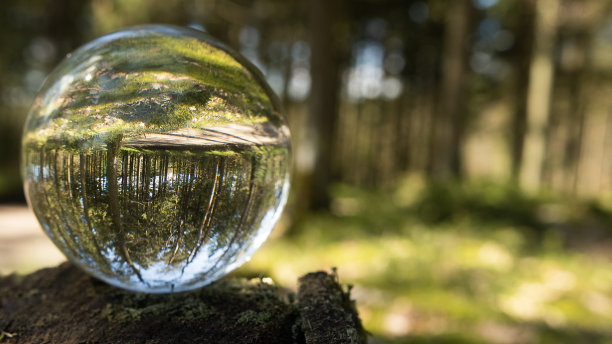 专注于照顾自然和气候，水晶球周围的自然反映了斯堪的纳维亚的自然，并在球内图片下载