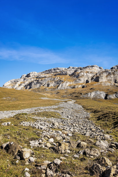 瑞士，山前的碎石田图片下载