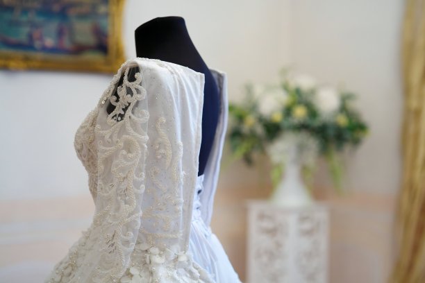 蕾丝和刺绣织物与珠结婚礼服图片下载