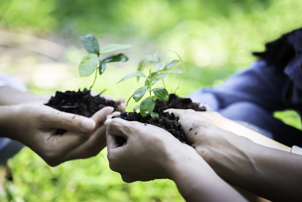 在陆地上生长和种植的生态树苗。手孩子团队工作，保护和减少全球变暖的地球。生态系统概念图片下载