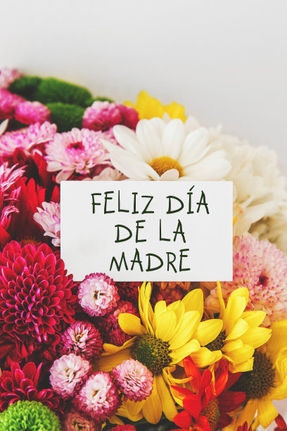 垂直的照片上是一束鲜艳美丽的彩色鲜花，白色的贺卡上用西班牙语写着母亲节快乐，母亲节的概念。图片下载