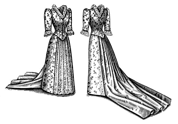 19世纪90年代维多利亚时代的时尚，女士花卉图案晚礼服与巴斯克紧身胸衣和火车(正面和背面)- 19世纪图片下载