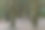 古老的森林树，英格兰萨里图片下载