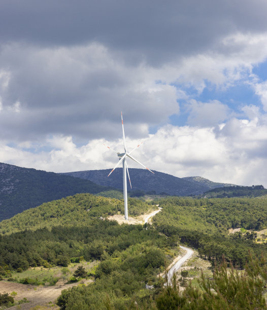 森林景观中的风力发电站图片下载