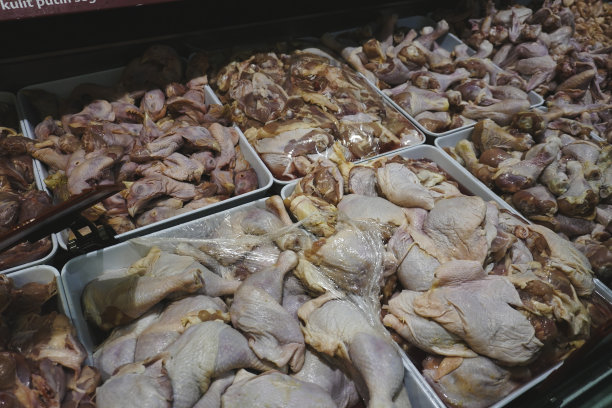 生鸡肉部分的照片，用于烹饪和烧烤，无皮的乳房和肉丁条，用于炖牛肉或用腿和翅膀煸炒，从上面看图片下载