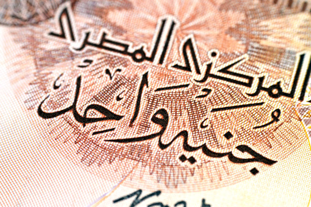 埃及镑纸币正面局部：盖特贝苏丹清真寺，背面：阿布辛贝大神庙图片下载