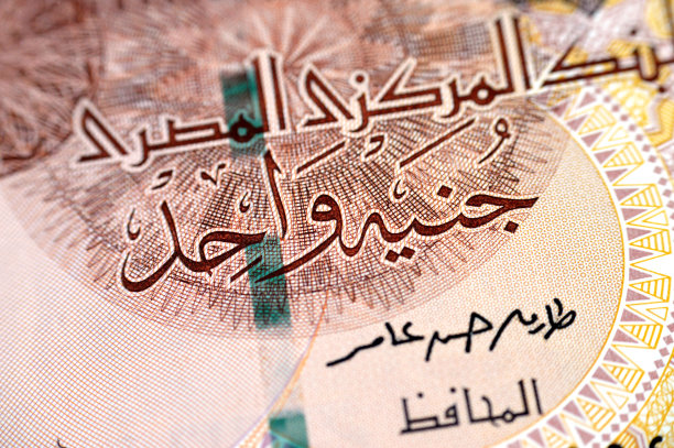 埃及镑纸币正面细节：左中为卡特巴苏丹清真寺，背面为阿布辛贝大神庙图片下载