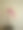 春天的一天，佛罗里达州西棕榈滩的室内粉红色兰花植物的穆迪电影照片图片下载
