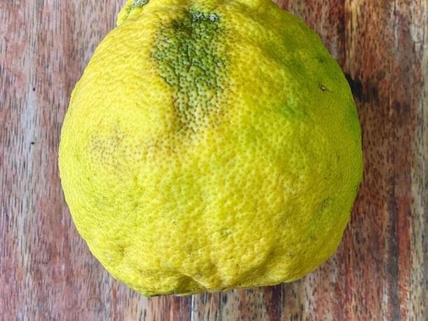 一张有绿色斑点的木桌上的柠檬的照片。图片下载