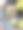 一株盆栽仙人掌的照片，上面有几只绿色的小仙人掌。图片下载