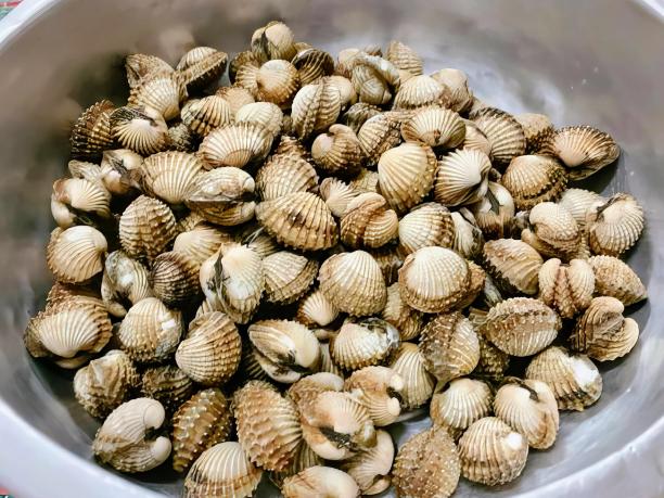 一张桌子上碗里盛着一碗蛤蜊的照片。图片下载