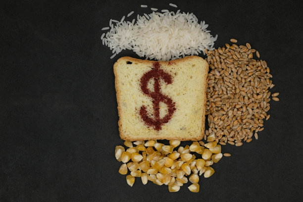 带美元符号的烤面包。小麦、玉米和大米。黑色背景。图片下载