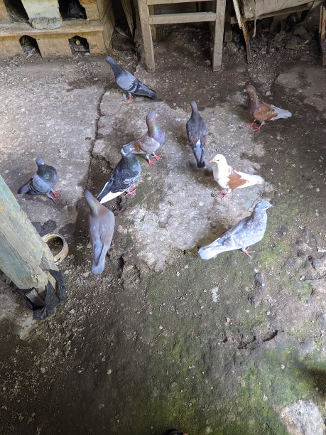 美丽的地方图片下载