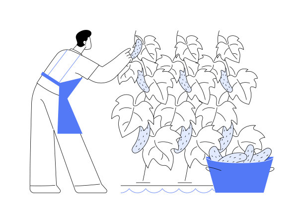 水培黄瓜生产抽象概念矢量插图。图片下载