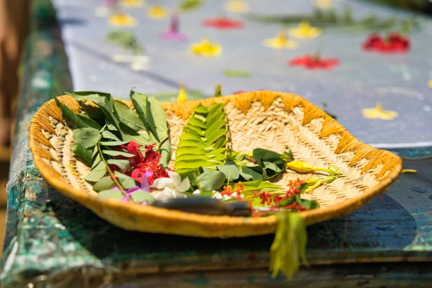 工作台面附近的花篮和树叶为太阳印刷帕雷奥斯，马埃塞舌尔图片下载