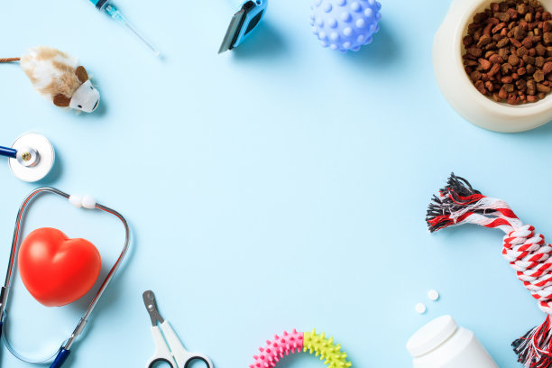 兽医诊所、宠物医院横幅设计。蓝色背景上的宠物护理配件和医疗用品的平面构图。图片下载