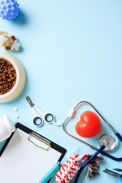 兽医诊所用品和宠物配件蓝色背景。前视图。图片下载