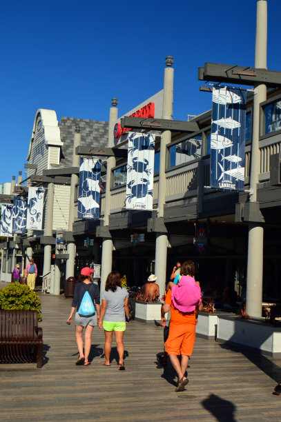 夏日漫步码头图片下载