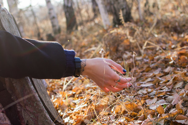 这张照片显示了一个纤细的女性手臂。手臂搁在森林里的一堆黄色树叶上。图片下载