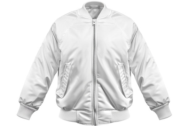 棒球飞行员夹克模型图片下载