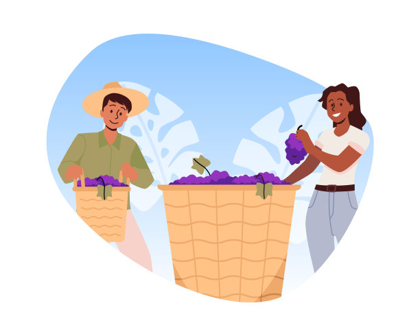 矢量插图的农民在统一采摘紫色串在一个大篮子里的葡萄图片下载