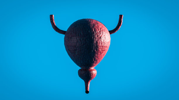 基于关键线粒体基因的新型膀胱癌诊断模型医生手持虚拟膀胱。人体器官，模糊照片，原始色彩。保健医院服务理念图片下载