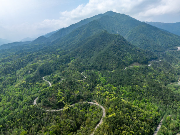 河边蜿蜒山路的航拍照片图片下载