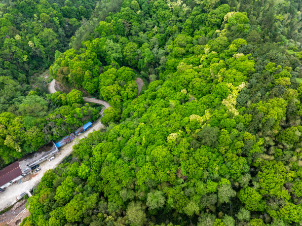 河边蜿蜒山路的航拍照片图片下载