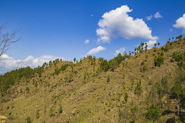 2024年春季图片下载