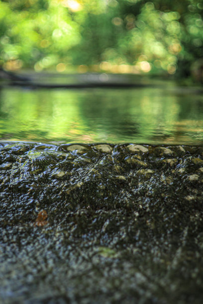 美丽的山间水源图片下载