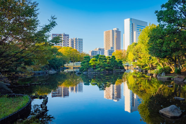 日本。日本城市的住宅楼和办公楼。房子的背景是风景如画的带池塘的公园。城市池塘里一个岛上的日本松树。在日本的生活。图片下载