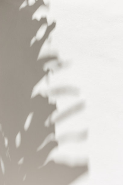 夏季极简风格的背景与模糊阴影从自然棕榈叶在浅灰白色的背景，硬光，复制空间。在阳光下，白色墙壁上的棕榈影的美学摄影。图片下载