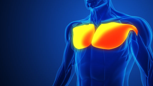 胸部肌肉疼痛，蓝色背景图片下载