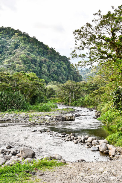 山中的河流，照片为背景，拍摄于哥斯达黎加中部的阿雷纳尔火山湖公园图片下载