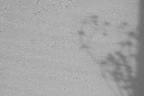 柔和模糊的阴影剪影草甸草在中性灰色纹理石墙背景与自然的阳光，背景与复制空间的商业品牌设计在泥土的颜色图片下载