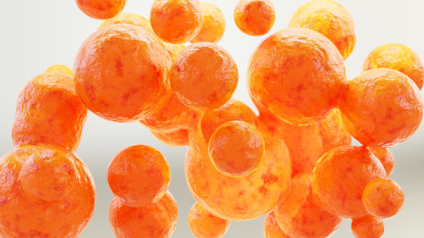 脂肪细胞、脂肪细胞和脂细胞，细胞中的胆固醇，白色脂肪细胞包含大的脂滴，人体内的脂肪，肥胖概念，真皮和皮下组织，细胞核，3D渲染图片下载