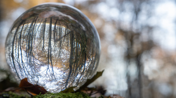 专注于照顾自然，用玻璃球展示，在球的内外反映自然。一个在大自然中有自然的房间。图片下载