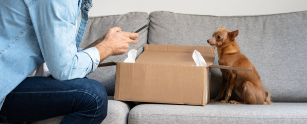 一名男子和他的小狗一起打开网上订单，并在社交媒体上分享照片。(玩具梗狗)图片下载